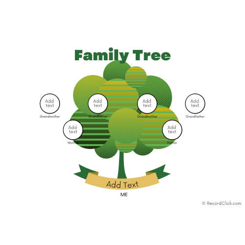 family tree outline 3 generations