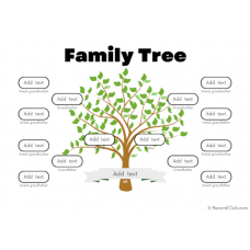 4 Generation Family Tree Template