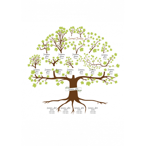 Family Tree Template with Siblings Download amp Print RecordClick com