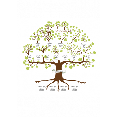 Family Tree Template with Siblings Download Print RecordClick com