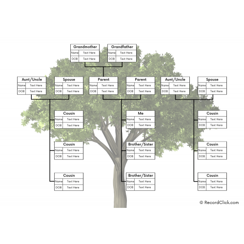 family tree template with siblings aunts uncles cousins