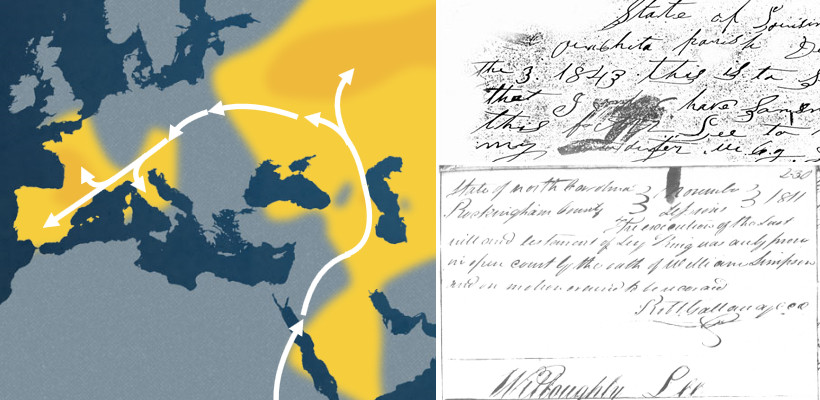 11 Qualities of the Best Family History Researchers in UK