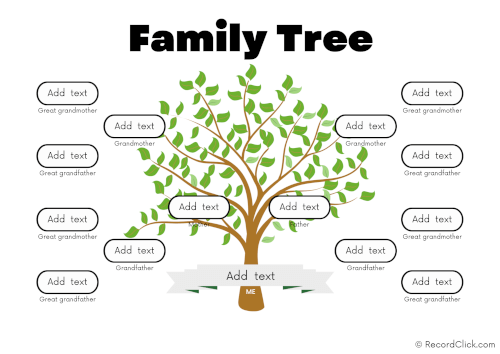 4 Generation Family Tree Template