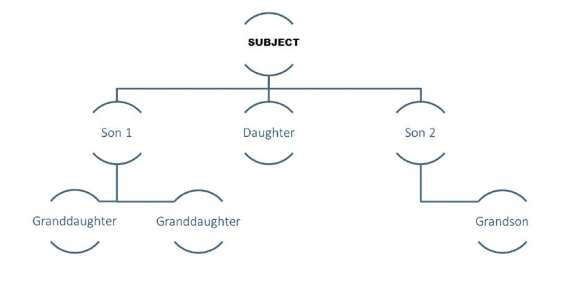 Lineal Descendants Chart How To Determine Hierarchy   Chart 810x431 