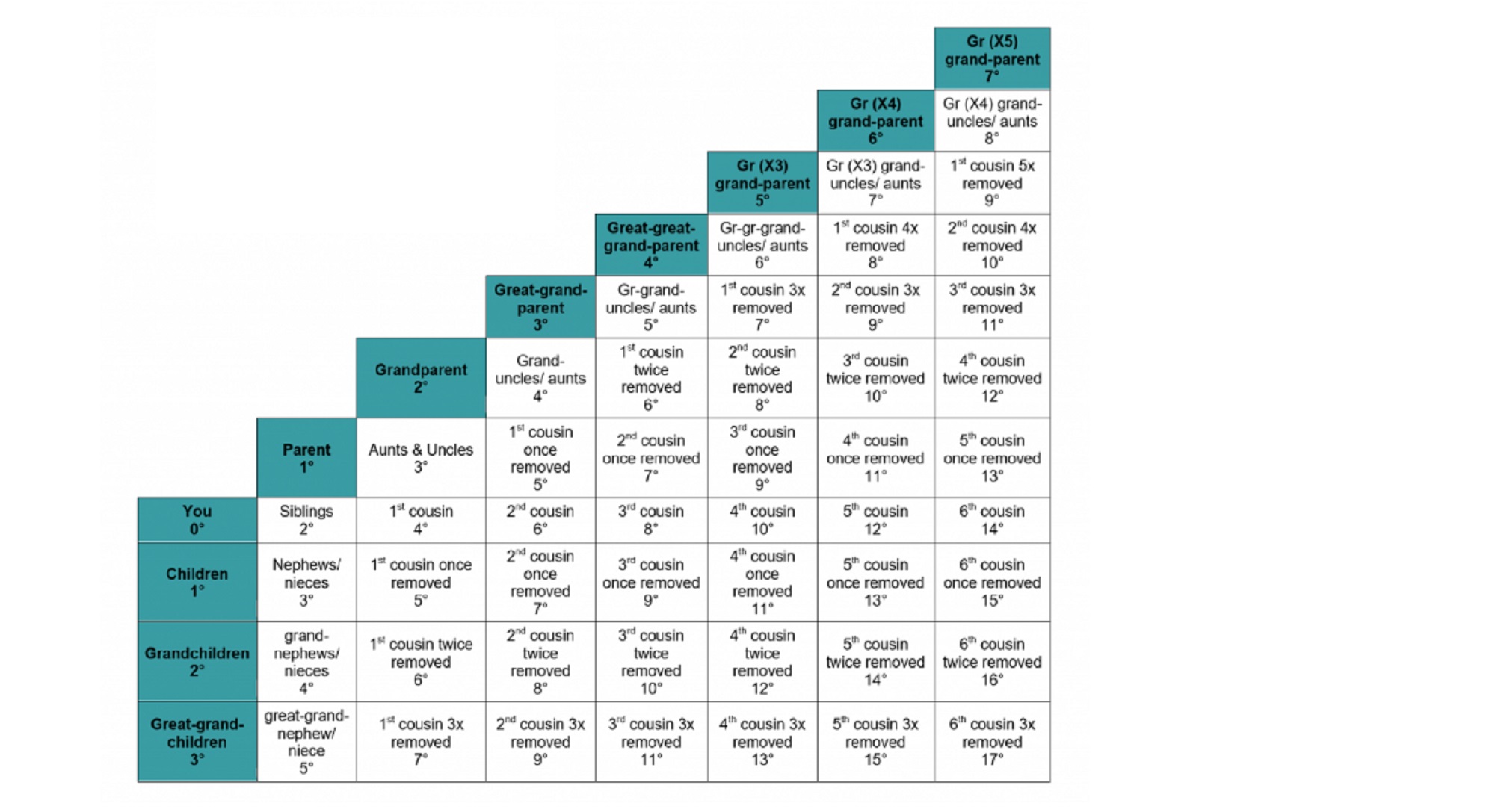 Lineal Descendants Chart: How To Determine Hierarchy